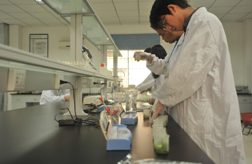 科研實驗室建設